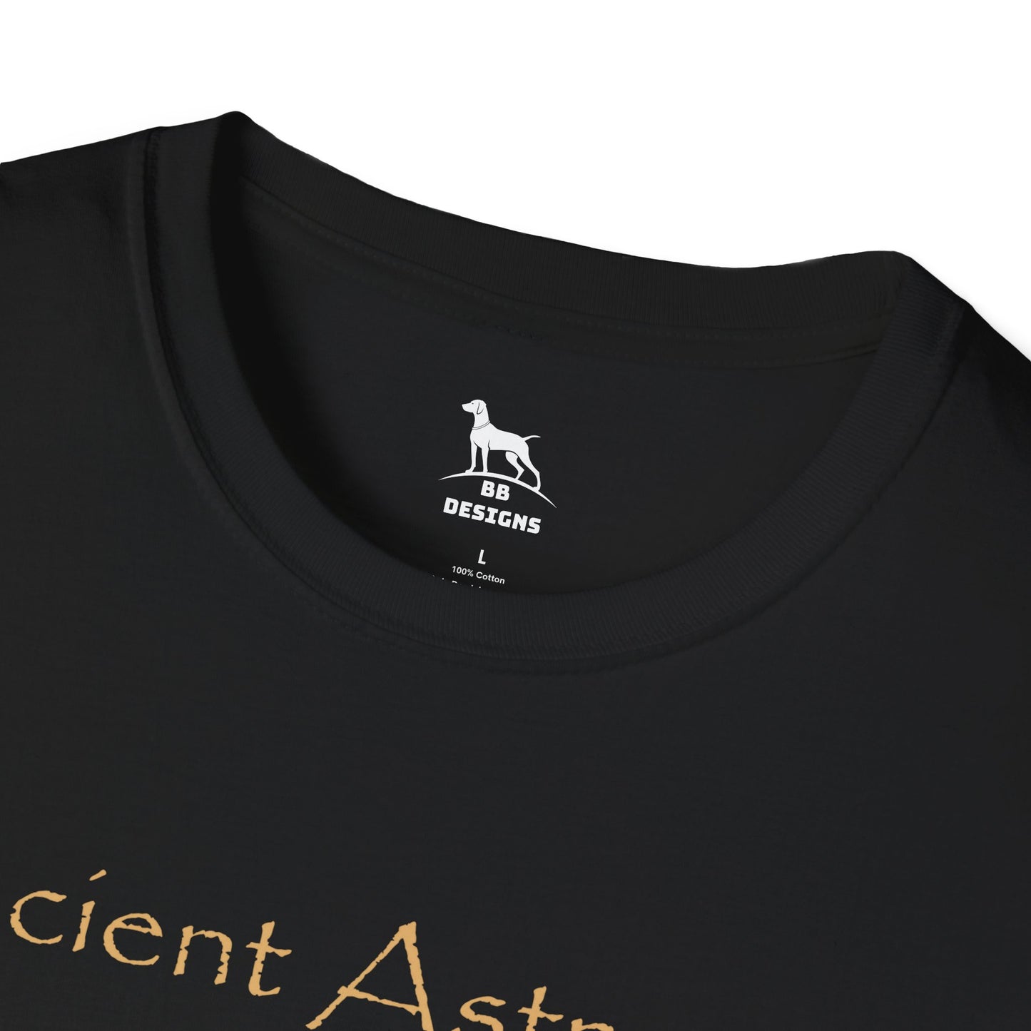 Ancient Astronaut Theorist Softstyle T-Shirt
