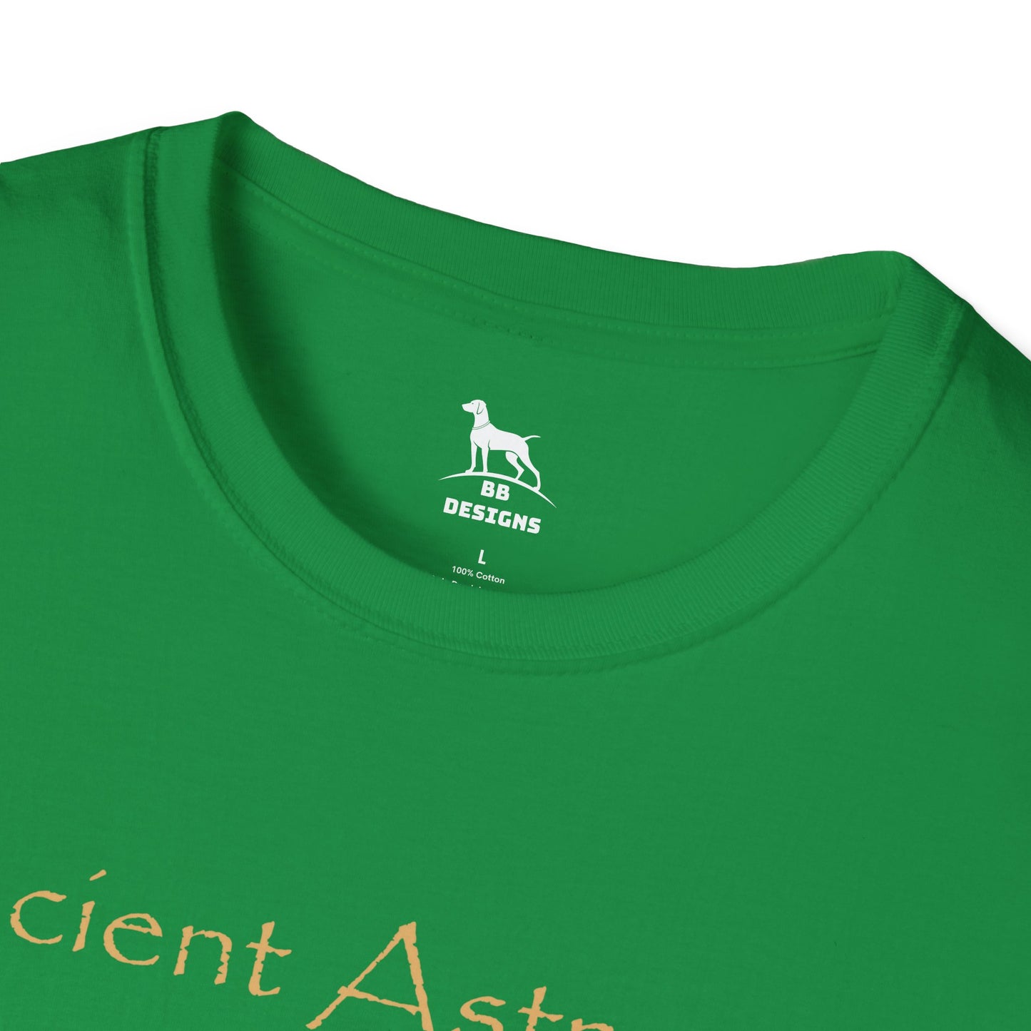 Ancient Astronaut Theorist Softstyle T-Shirt