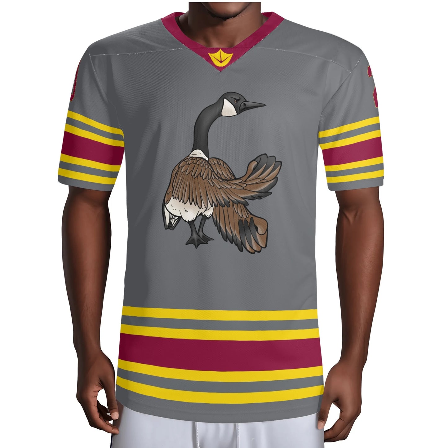 Fighting Geese - Chandler 20