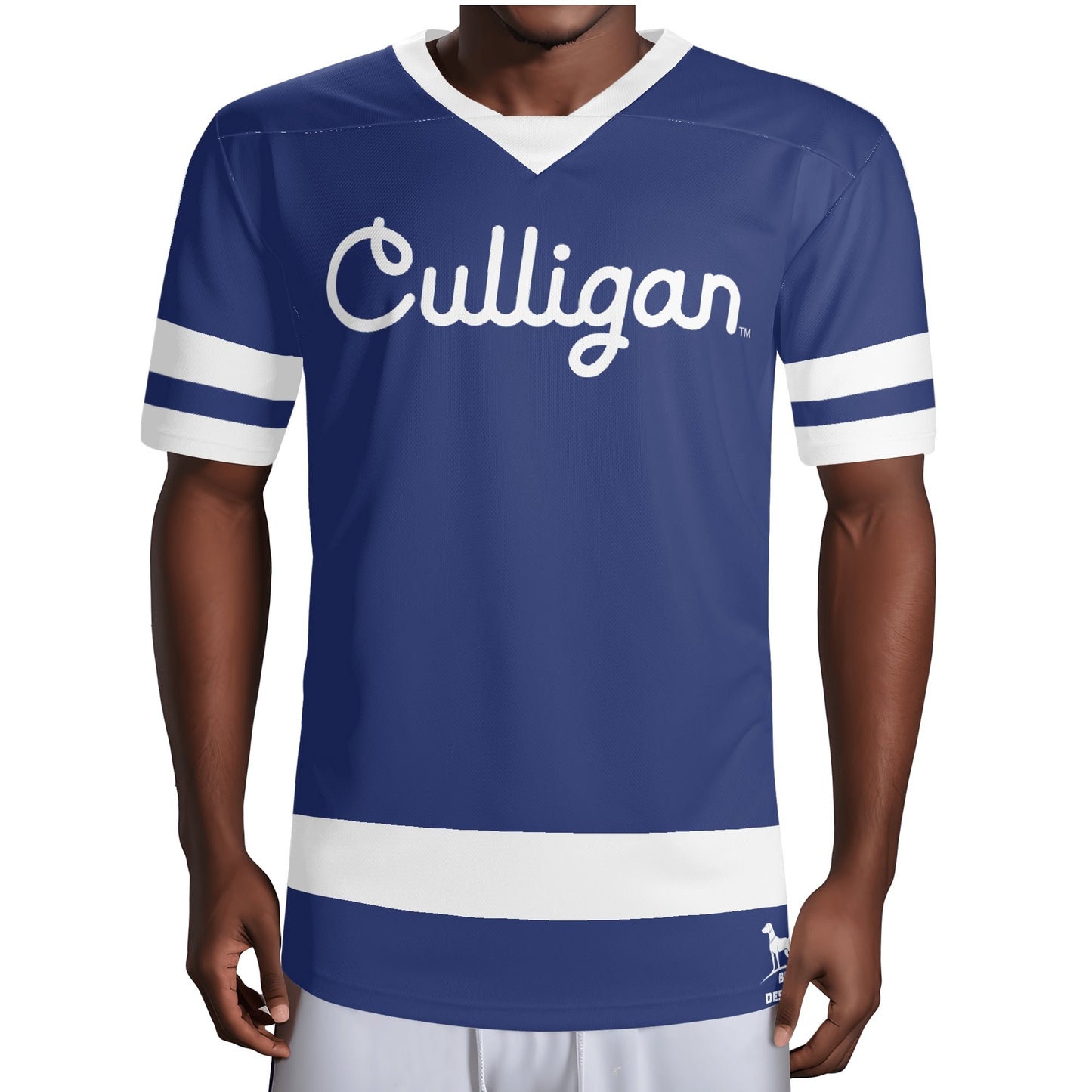 D6+ Culligan - Schertz 8
