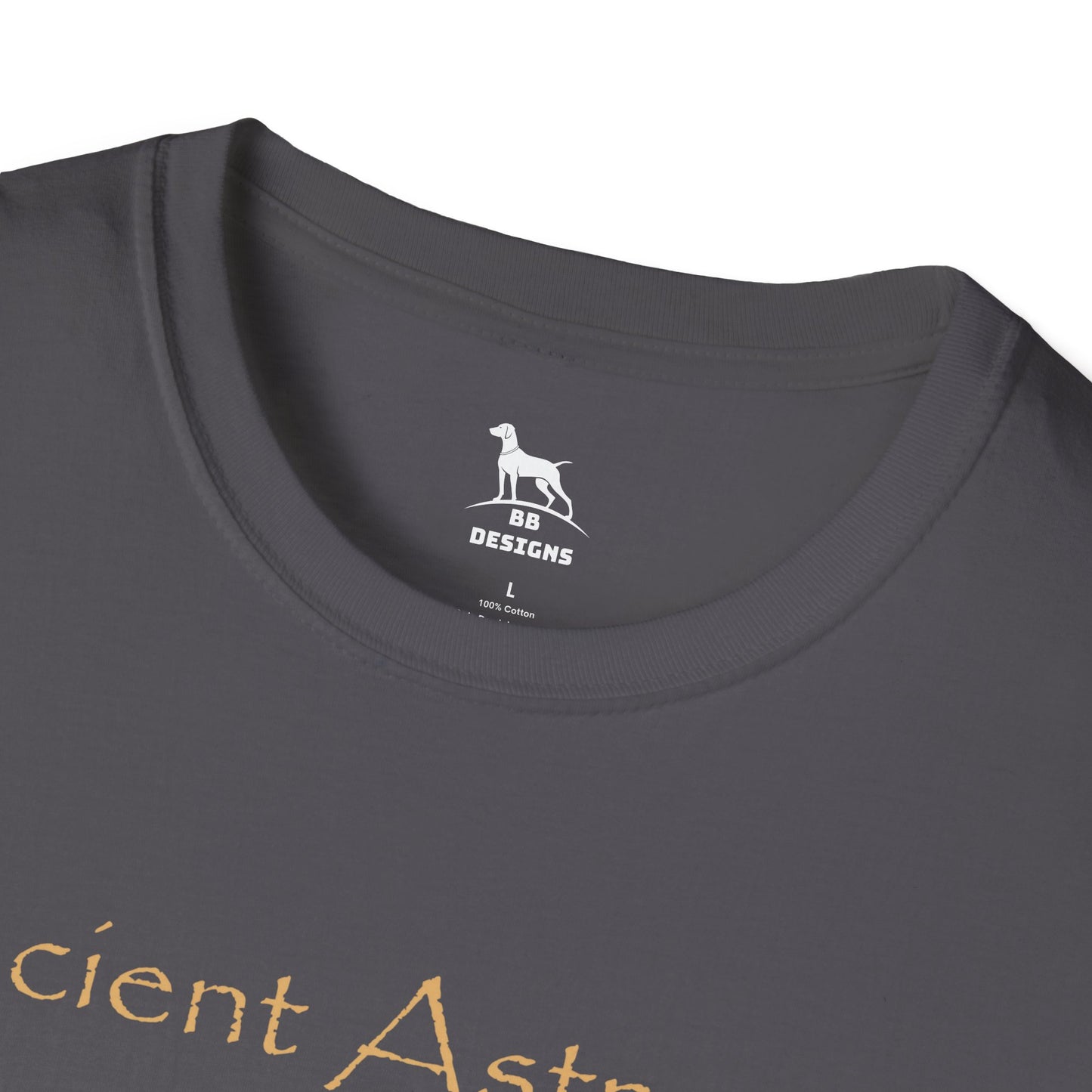 Ancient Astronaut Theorist Softstyle T-Shirt