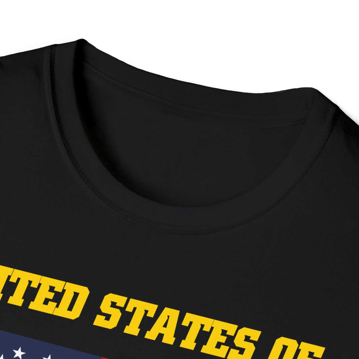 United States of Iowa T-Shirt