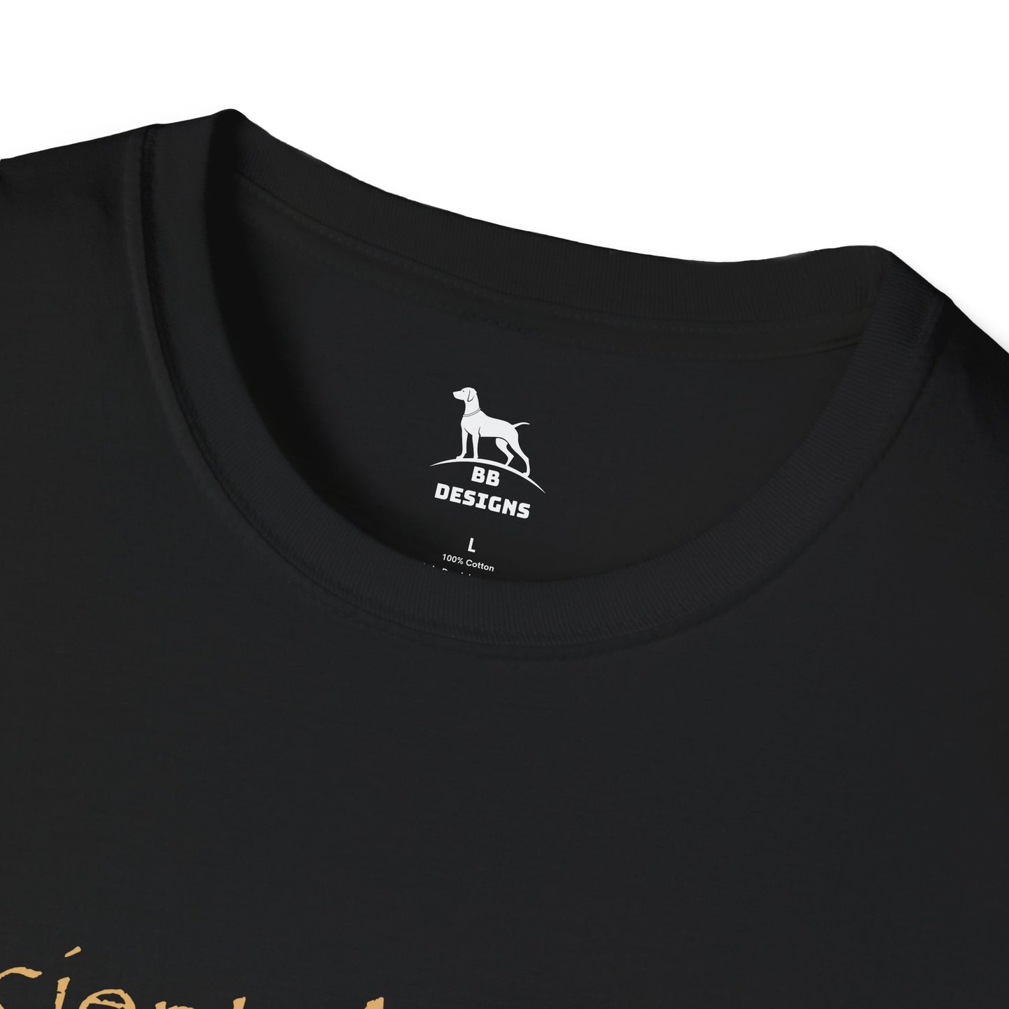 Ancient Astronaut Theorist Softstyle T-Shirt