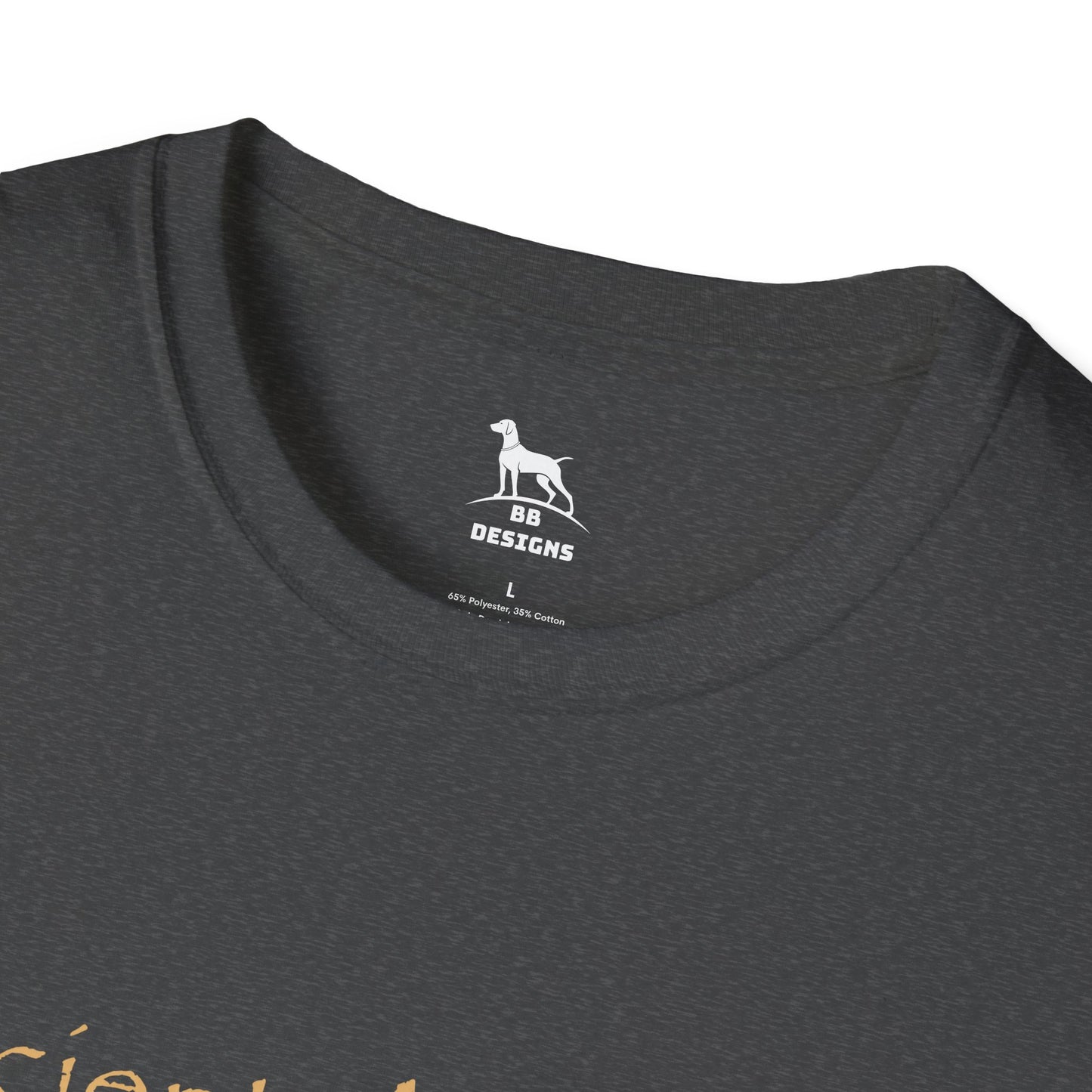 Ancient Astronaut Theorist Softstyle T-Shirt