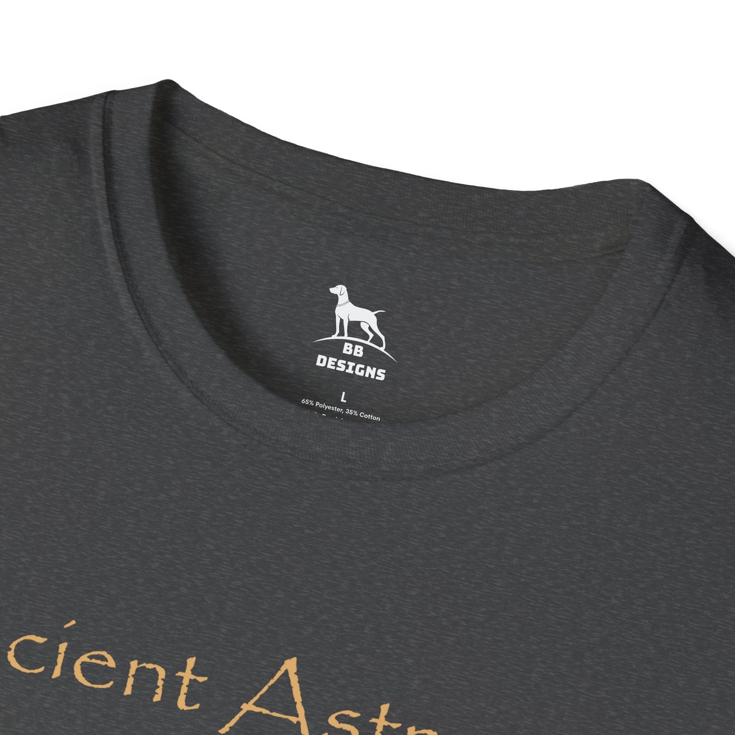 Ancient Astronaut Theorist Softstyle T-Shirt