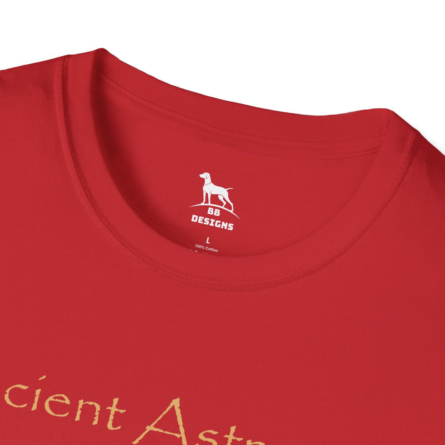 Ancient Astronaut Theorist Softstyle T-Shirt