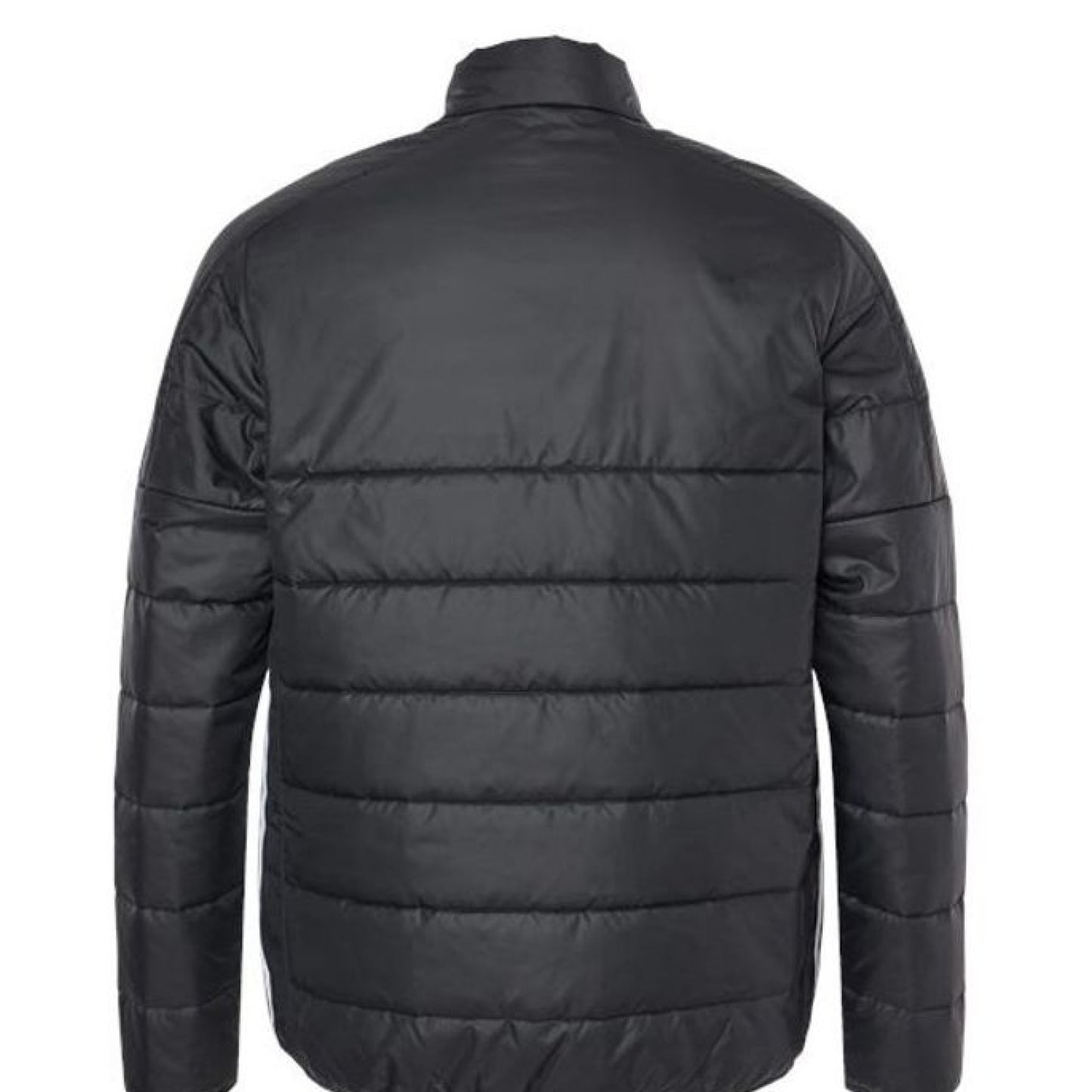 Black - BACK