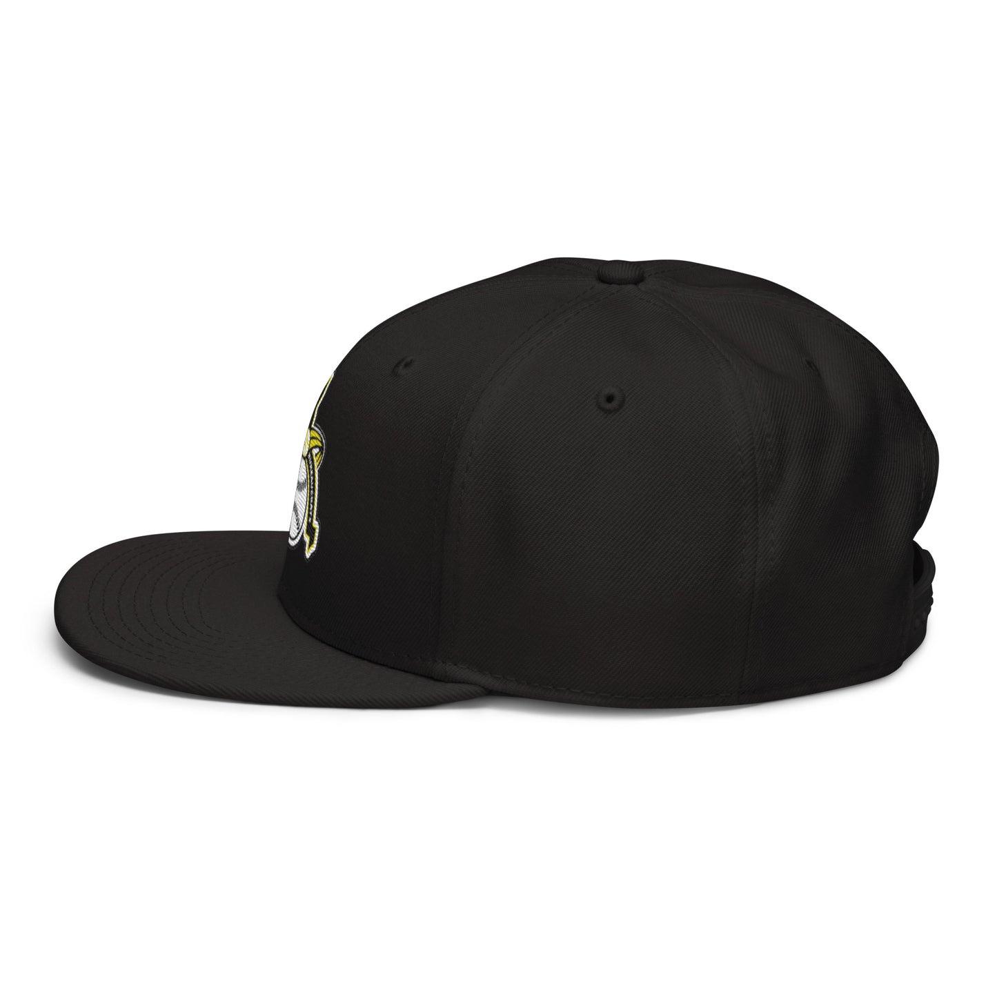Arlington Bureaucrats Snapback Hat