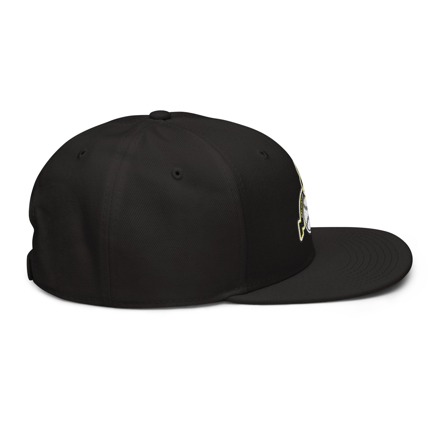 Arlington Bureaucrats Snapback Hat